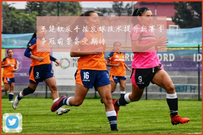王楚钦反手接发球技术提升新赛季争冠前景备受期待